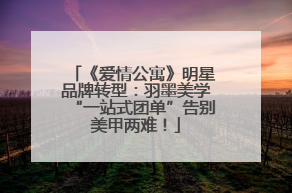 《爱情公寓》明星品牌转型：羽墨美学“一站式团单”告别美甲两难！