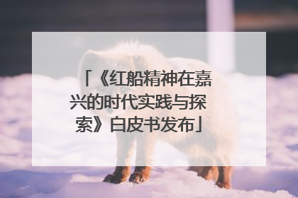 《红船精神在嘉兴的时代实践与探索》白皮书发布