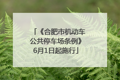 《合肥市机动车公共停车场条例》6月1日起施行