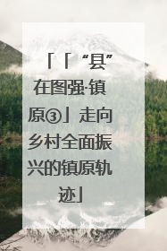 「“县”在图强·镇原③」走向乡村全面振兴的镇原轨迹