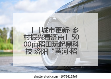 「城市更新· 乡村振兴看济南」5000亩稻田玩起黑科技 济阳“黄河·稻乡湾”靠“非遗+露营”火出圈