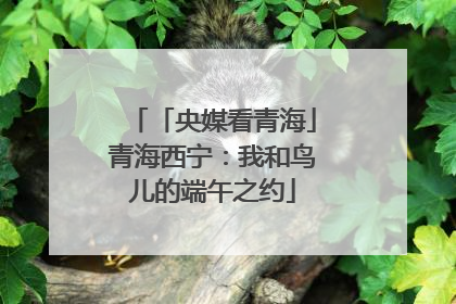 「央媒看青海」青海西宁：我和鸟儿的端午之约