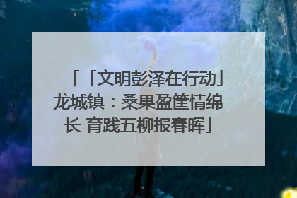 「文明彭泽在行动」龙城镇：桑果盈筐情绵长 育践五柳报春晖