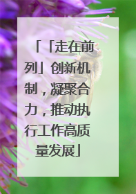 「走在前列」创新机制，凝聚合力，推动执行工作高质量发展