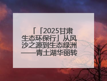 「2025甘肃生态环保行」从风沙之源到生态绿洲——青土湖华丽转身书写生态新篇