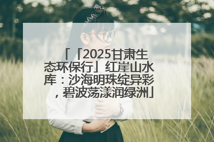 「2025甘肃生态环保行」红崖山水库：沙海明珠绽异彩，碧波荡漾润绿洲