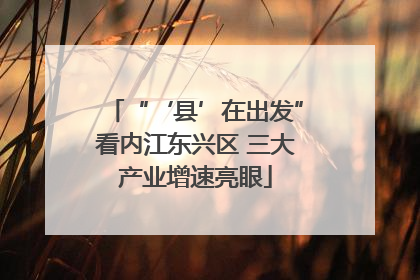 “‘县’在出发”看内江东兴区 三大产业增速亮眼