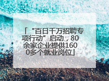 “百日千万招聘专项行动”启动，80余家企业提供1600多个就业岗位