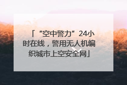 “空中警力”24小时在线，警用无人机编织城市上空安全网
