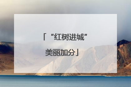 “红树进城” 美丽加分