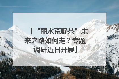 “丽水荒野茶”未来之路如何走？专题调研近日开展