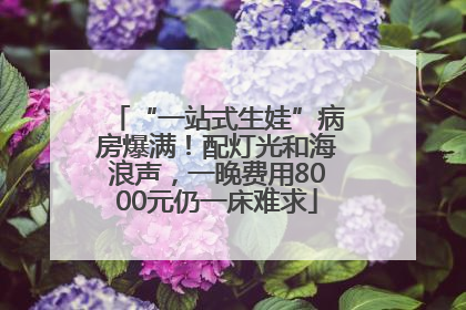 “一站式生娃”病房爆满！配灯光和海浪声，一晚费用8000元仍一床难求