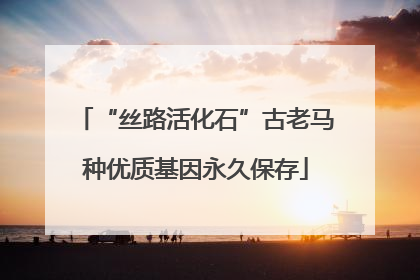 “丝路活化石”古老马种优质基因永久保存