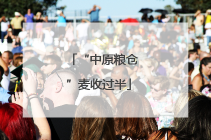 “中原粮仓”麦收过半