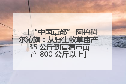 “中国草都” 阿鲁科尔沁旗：从野生牧草亩产 35 公斤到苜蓿草亩产 800 公斤以上
