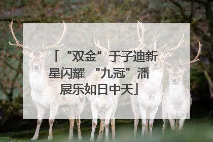 “双金”于子迪新星闪耀 “九冠”潘展乐如日中天