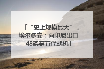 “史上规模最大”，埃尔多安：向印尼出口48架第五代战机