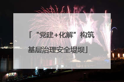 “党建+化解”构筑基层治理安全堤坝