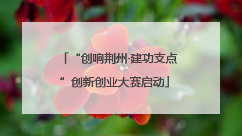 “创响荆州·建功支点”创新创业大赛启动