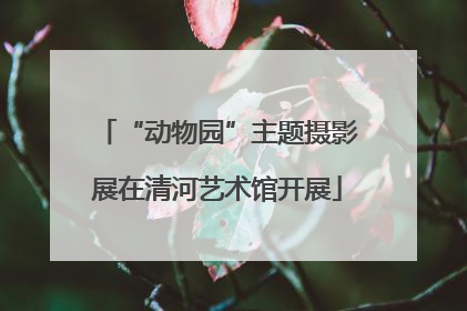 “动物园”主题摄影展在清河艺术馆开展