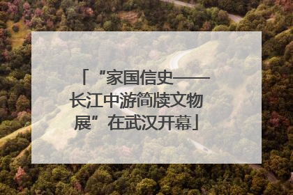 “家国信史——长江中游简牍文物展”在武汉开幕