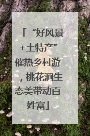 “好风景+土特产”催热乡村游，桃花涧生态美带动百姓富