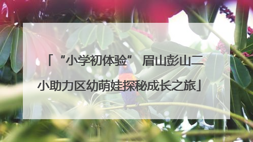 “小学初体验” 眉山彭山二小助力区幼萌娃探秘成长之旅