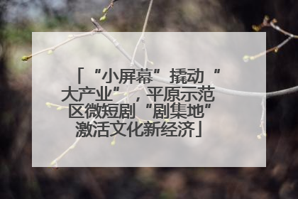 “小屏幕”撬动“大产业”，平原示范区微短剧“剧集地”激活文化新经济