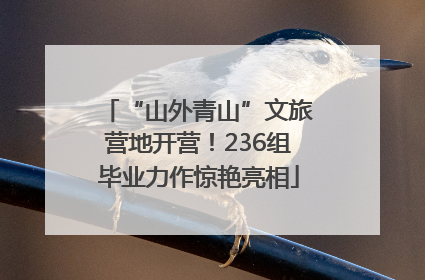 “山外青山”文旅营地开营！236组毕业力作惊艳亮相
