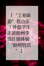 “工业旅游”看点多！外籍学生走进胶州李哥庄镇体验“胶州智造”