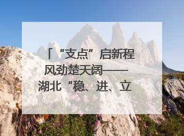 “支点”启新程 风劲楚天阔——湖北“稳、进、立、破”谱写“荆”彩篇章