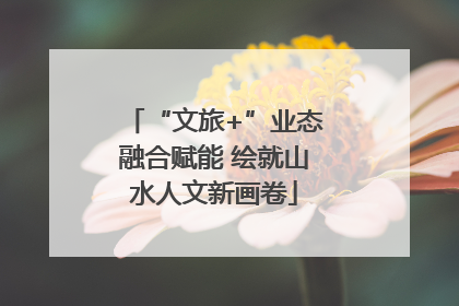 “文旅+”业态融合赋能 绘就山水人文新画卷