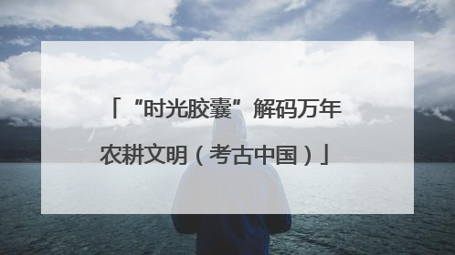 “时光胶囊”解码万年农耕文明（考古中国）