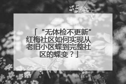 “无体检不更新”红梅社区如何实现从老旧小区蝶到完整社区的蝶变？