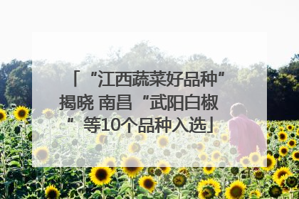 “江西蔬菜好品种”揭晓 南昌“武阳白椒”等10个品种入选