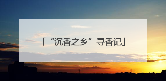 “沉香之乡”寻香记