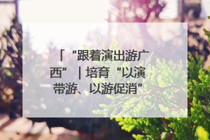 “跟着演出游广西”｜培育“以演带游、以游促消”文旅消费新生态