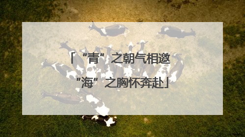 “青”之朝气相邀 “海”之胸怀奔赴