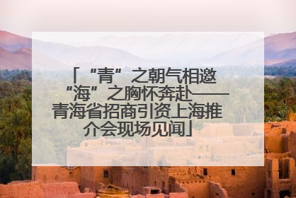 “青”之朝气相邀 “海”之胸怀奔赴——青海省招商引资上海推介会现场见闻