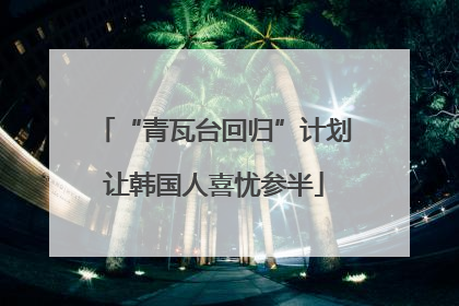 “青瓦台回归”计划让韩国人喜忧参半