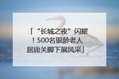 “长城之夜”闪耀！500名银龄老人居庸关脚下展风采