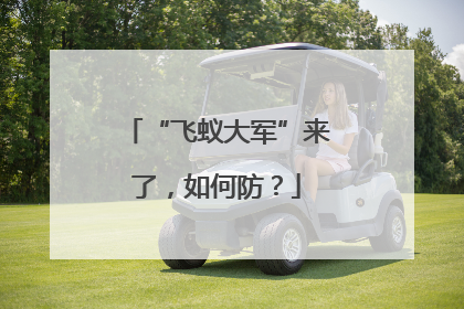“飞蚁大军”来了，如何防？