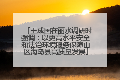王成国在丽水调研时强调：以更高水平安全和法治环境服务保障山区海岛县高质量发展