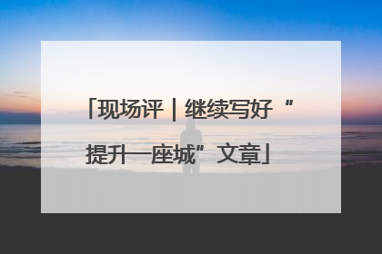 现场评｜继续写好“提升一座城”文章