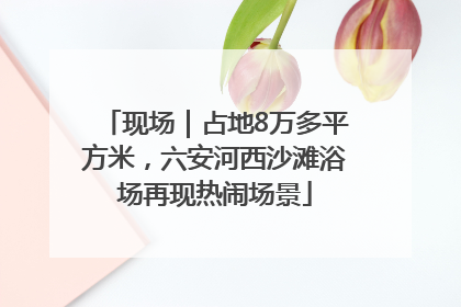 现场｜占地8万多平方米，六安河西沙滩浴场再现热闹场景