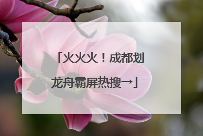 火火火！成都划龙舟霸屏热搜→