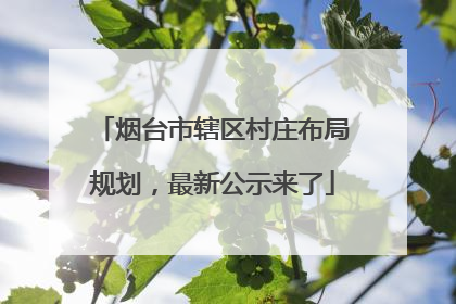 烟台市辖区村庄布局规划，最新公示来了