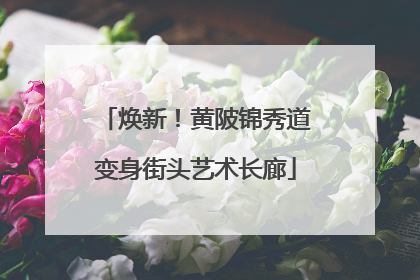 焕新！黄陂锦秀道变身街头艺术长廊