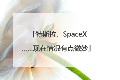 特斯拉、SpaceX……现在情况有点微妙