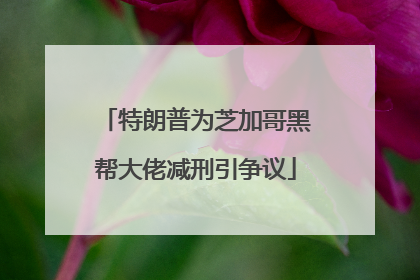 特朗普为芝加哥黑帮大佬减刑引争议